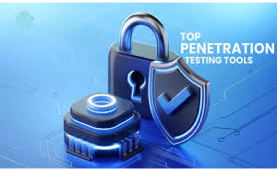 Network Security & Penetration Testing